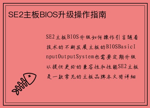 SE2主板BIOS升级操作指南